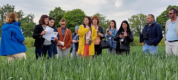 Zdjęcie 3 Delegaci stoją na poletkach doświadczalnych w SDOO w Słupi Wielkiej – ocena OWT 